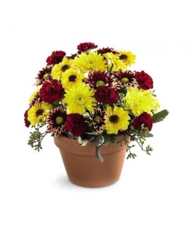 The Autumn Glory Bouquet The Autumn Glory Bouquet